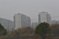 日月湖国际生态城实景图