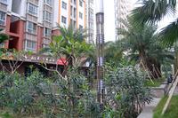 辉达·山水豪庭2013.2.28实景图