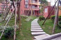 辉达·山水豪庭2013.2.28实景图
