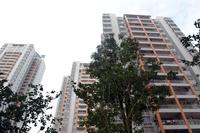 辉达·山水豪庭2013.2.28实景图