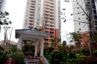 辉达·山水豪庭2013.2.28实景图