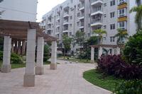 汇川上东区2013.10.31实景图