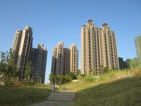 2013.11.25盛世名都实景图