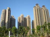 2013.11.25盛世名都实景图