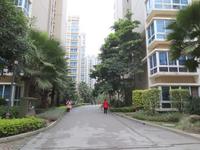 蓝山上城实景图(1.9)
