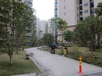 蓝山上城实景图(1.9)