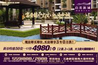 启美新城报版广告欣赏(1.10)