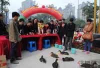 2013.02.03荣恒·江景新春游园活动