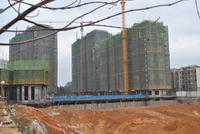 2月19日柳工·颐华城工程进度图