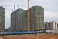 2月19日柳工·颐华城工程进度图