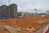 2月19日柳工·颐华城工程进度图