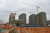 2月19日柳工·颐华城工程进度图