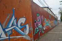 2月19日柳工·颐华城工程进度图