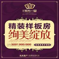 光大·东方一品 广告欣赏