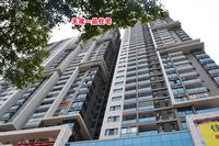 2013.11.27天成一品实景图