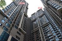 2013.11.27天成一品实景图