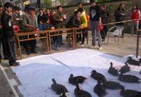 海茵巴塞罗那嘉年华欢乐开场(2013.12.21)