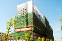 项目11月落架实景