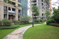 海华东盟公馆实景图(10.15)