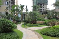 海华东盟公馆实景图(10.15)