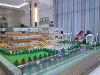 7月25日金鹅福地新售楼部开放