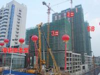 7月25日金鹅福地新售楼部开放