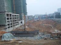 7月25日金鹅福地新售楼部开放