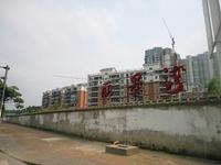 华厦丽景湾2014.4.23实景图