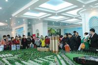 置业顾问了解沙盘