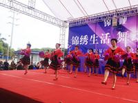 每一种舞蹈都是与众不同