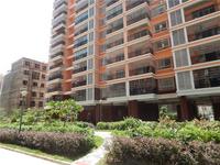 润丰花园 实景图 