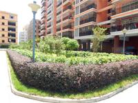 润丰花园 实景图 