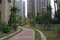 路上全是树