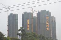 华一·红树林 实景图