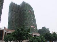 金鹿新城工程进度