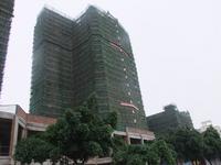 金鹿新城工程进度