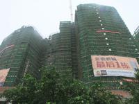 金鹿新城工程进度