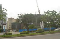 南地海江南 实景图 2014.4.24