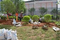 联发君澜天地 实景图