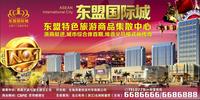 东盟国际城 活动图片