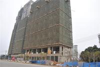 骋望领尚颂实景图(2014.02.13)
