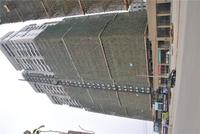 骋望领尚颂实景图(2014.02.13)