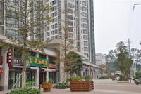 同人学府大道实景图(2014.02.13)