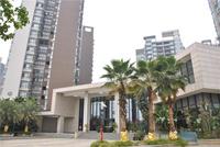 同人学府大道实景图(2014.02.13)