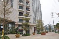 同人学府大道实景图(2014.02.13)