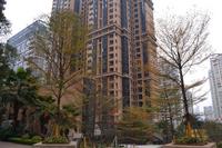 广源国际社区实景图(2014.2.11)