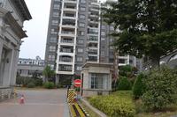 天昌凯悦国际实景图（2014.2.11）