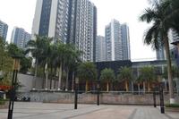 民发大观天下实景图（2014.2.12）