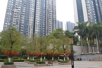 民发大观天下实景图（2014.2.12）