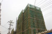 西城品阁实景图(2014.02.13)